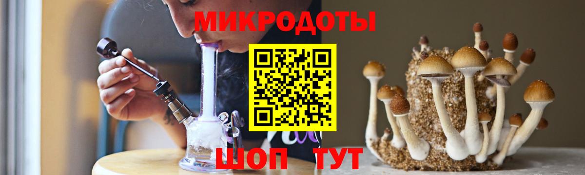 где продают наркотики  Вход с VPN  Архангельск  Псилоцибиновые грибы Magic Shrooms 
